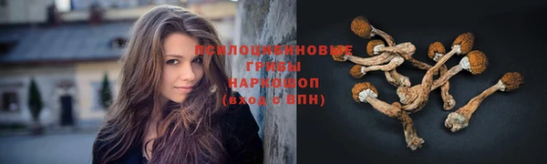 мдпв Козловка