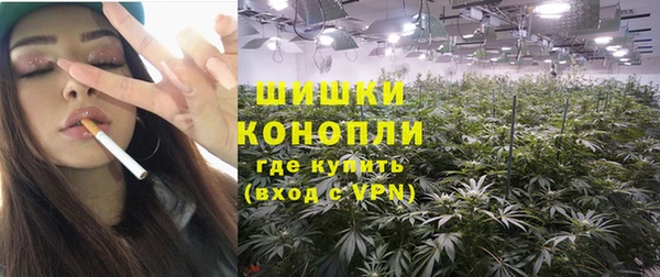 мдпв Козловка